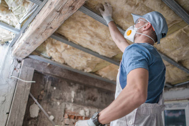 Best Geographic-Specific Insulation Services in Bliss Corner, MA